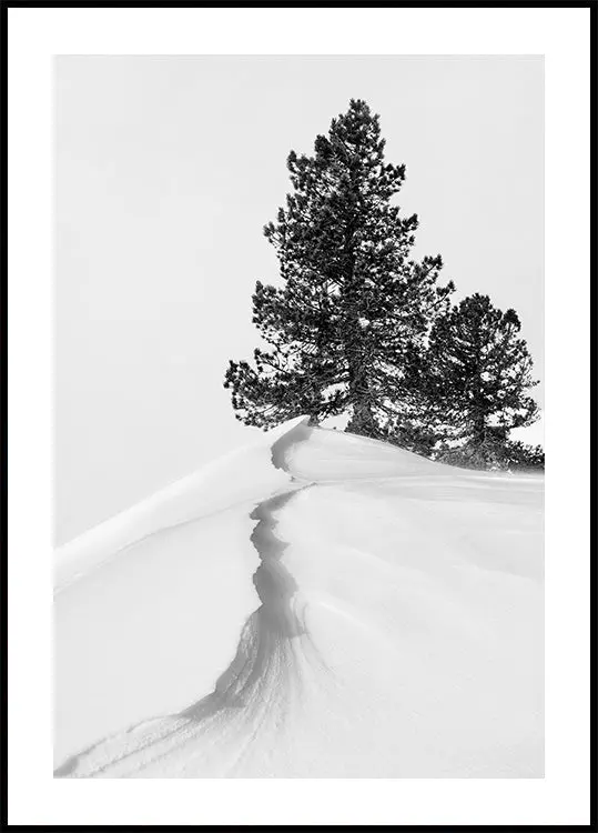 About the snow and forms Poster