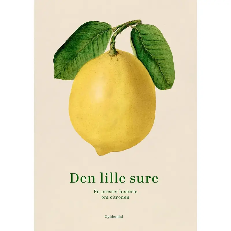 Bog - Den lille Sure