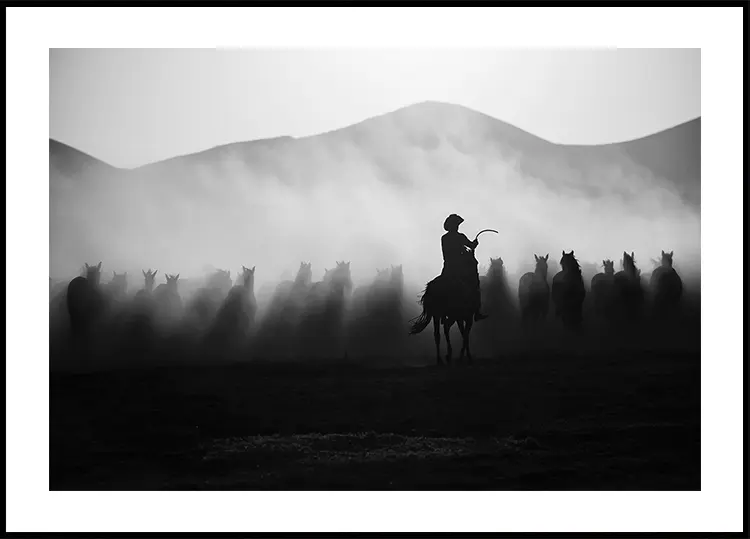Chasing the Jades! Plakat