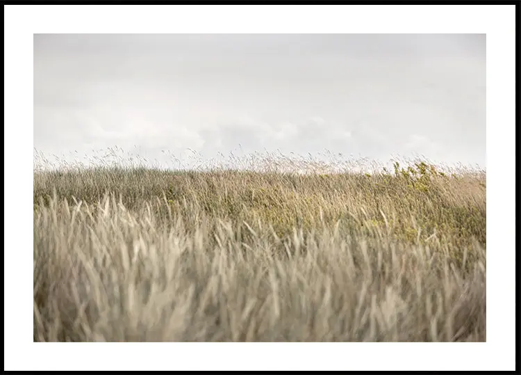 Dunes and Clouds 2
