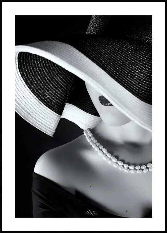Elegance in Shadow Plakat