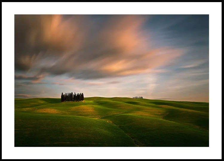 Fields