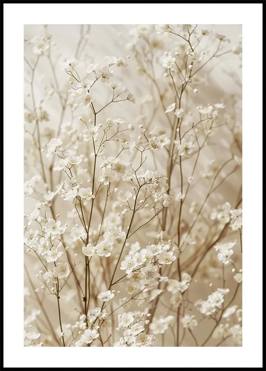 Gentle Bloom