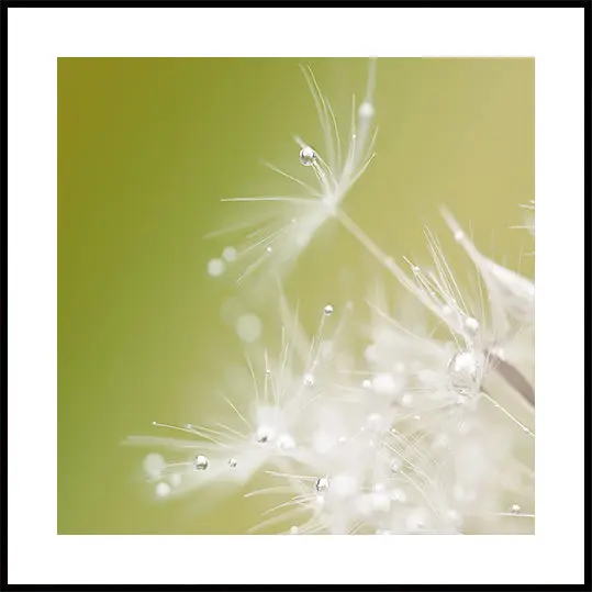 Green Plakat