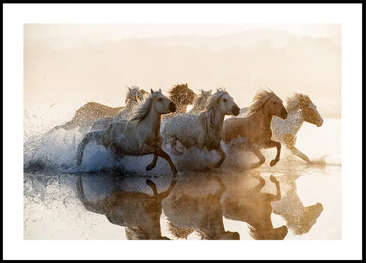 Horses Poster
