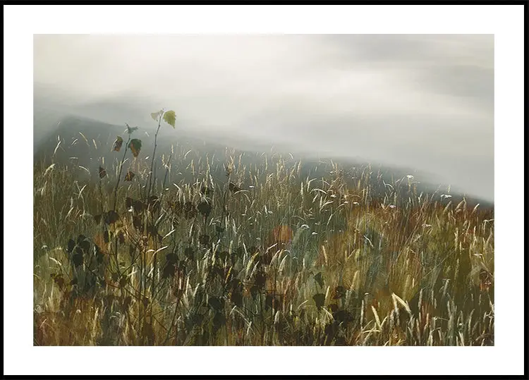 In the field Poster