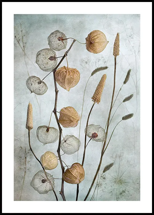 Lanterns Plakat