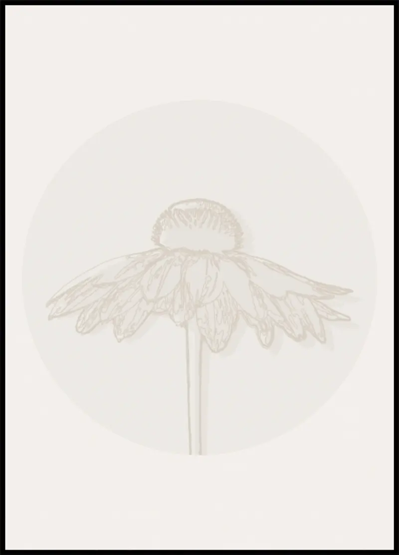 Minimalist Coneflower Bloom