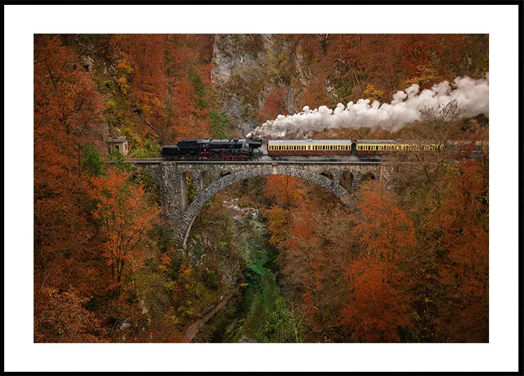 Museum train Poster