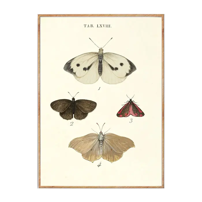 Naturplakat no. 3