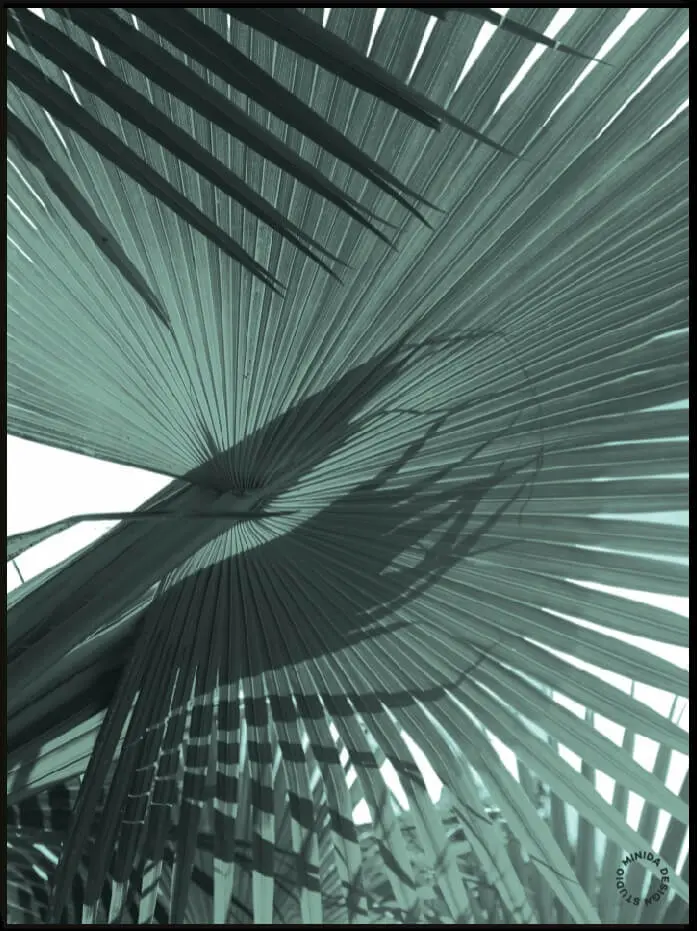Plakat - Palm #1 - Minida