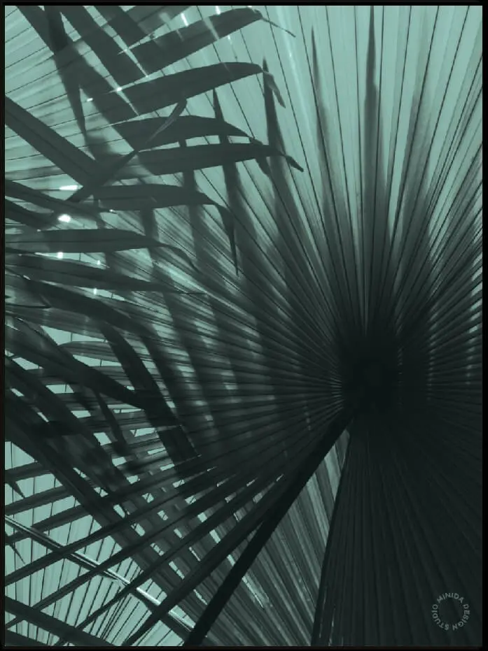 Plakat - Palm #2 - Minida