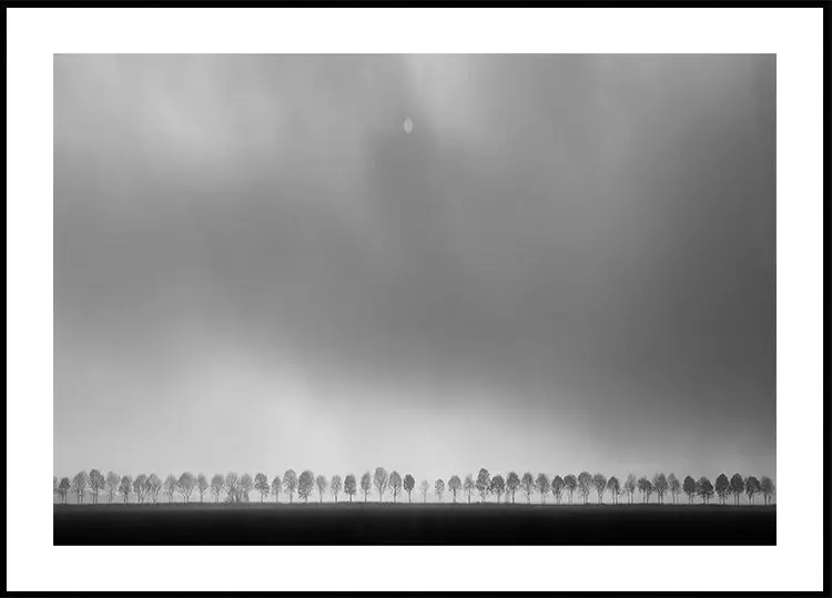 Polderlandscape
