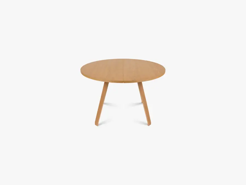Primum Table Eg - Eg ben, Oak