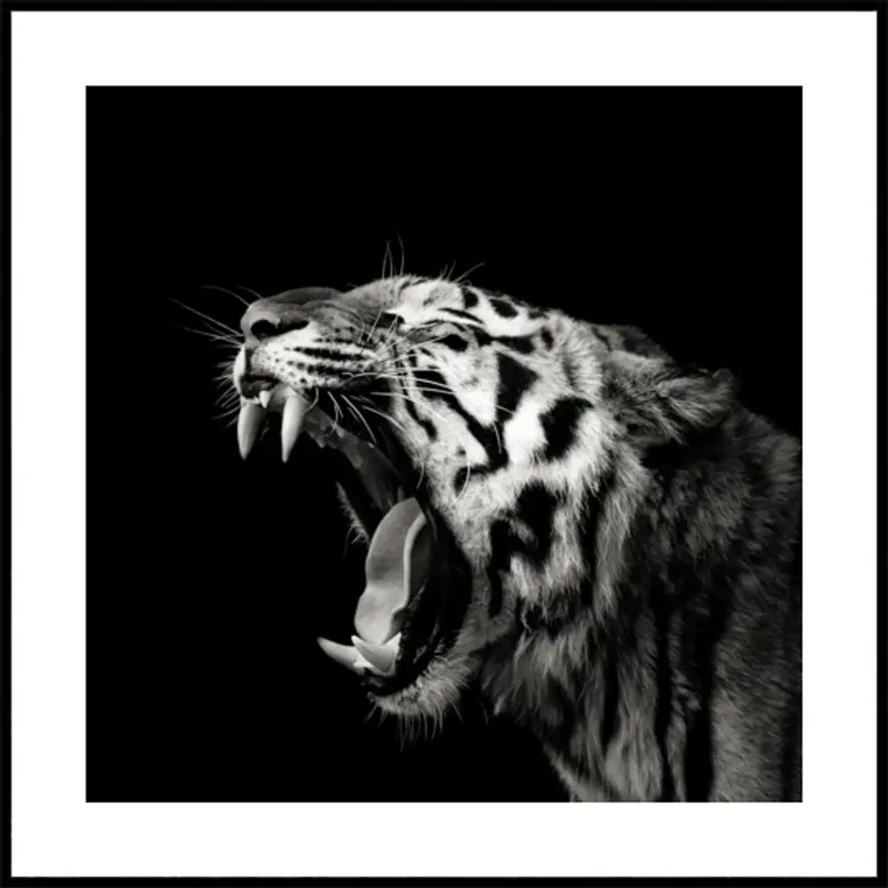 Roaring Tiger Portrait