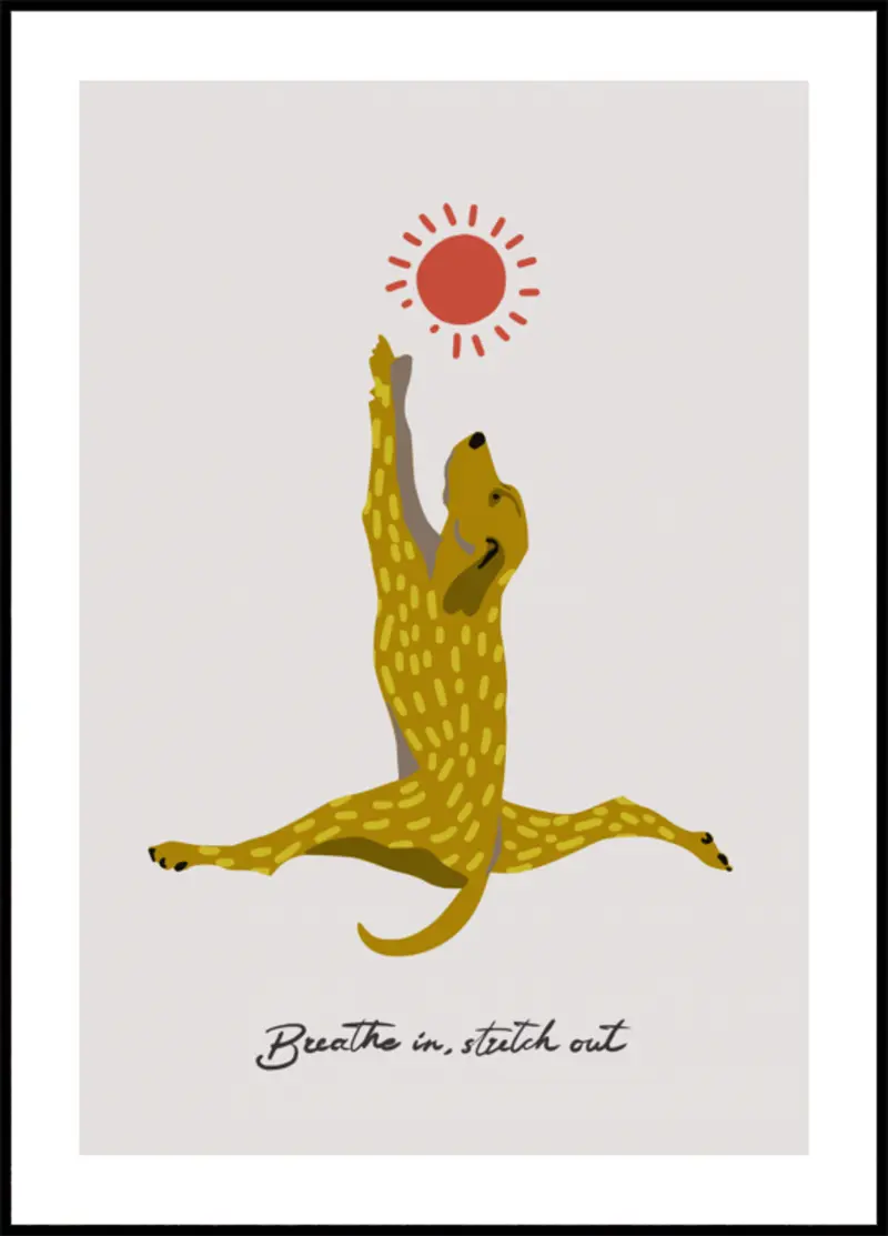 Stretching Dog Sun