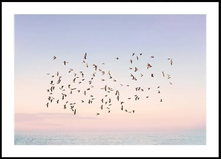 Sunset Flight Poster