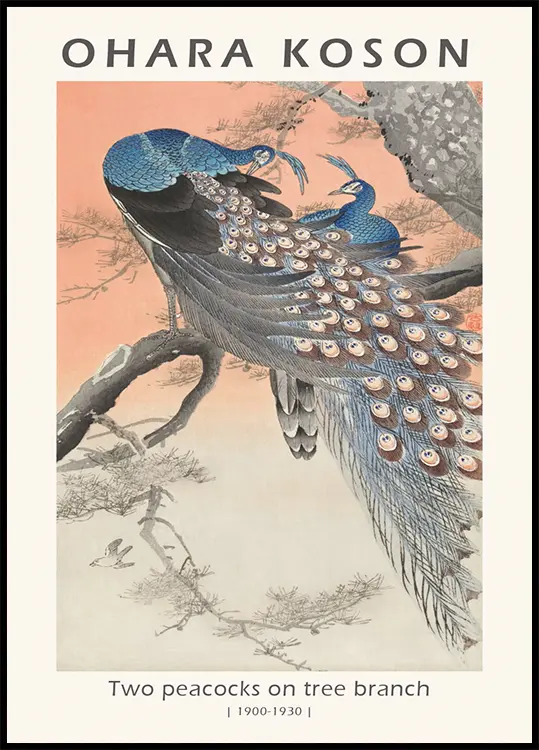 Two Peacocks Plakat