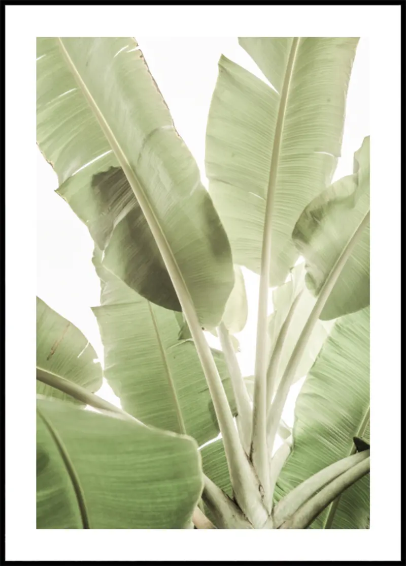 Verdant Leafscape