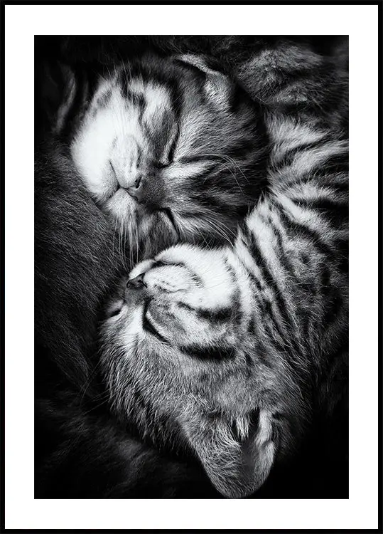 Yin and Yang